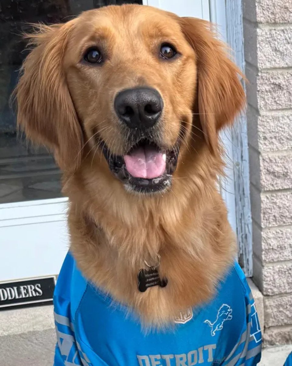 Clean Express Auto Wash tweet media