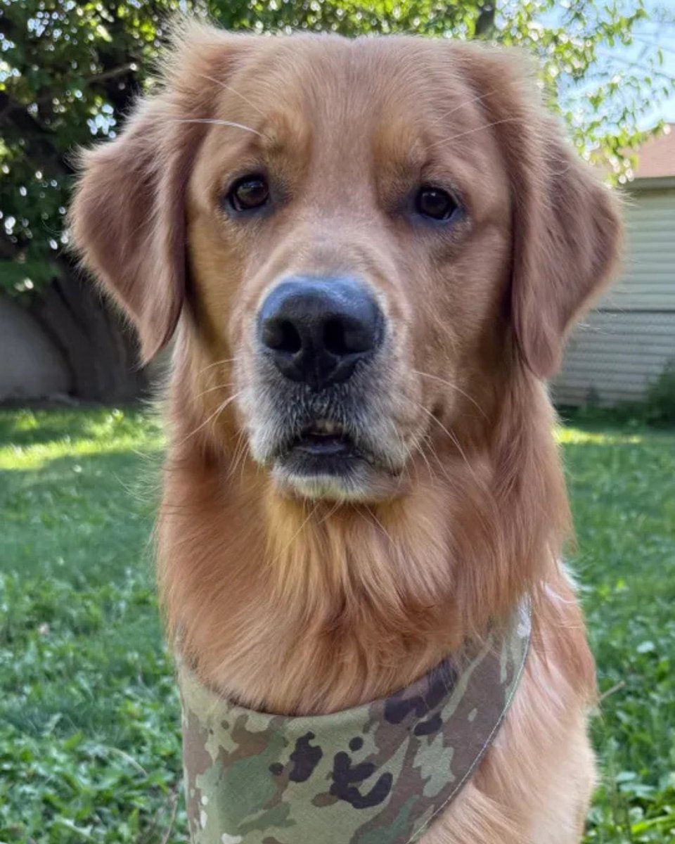 Clean Express Auto Wash tweet media