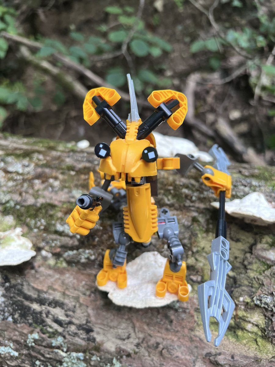 Crusader's Symphony tweet media