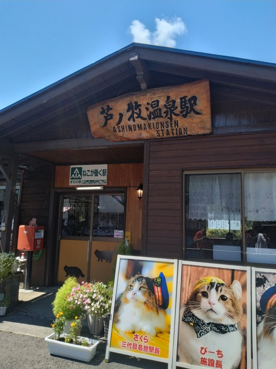 Avado015's tweet photo. 福島から帰宅〜、楽しかったぁ
猫が駅長さんしてる駅や、ダムを見渡せる場所
寝ている所にメガトンプレスしてきた友達
そして馬刺しが美味しかったぁ
色々な場所連れて行ってもらったけどまた行きたい‼️
ありがとう、友よ https://t.co/oG0U1o3Xnu