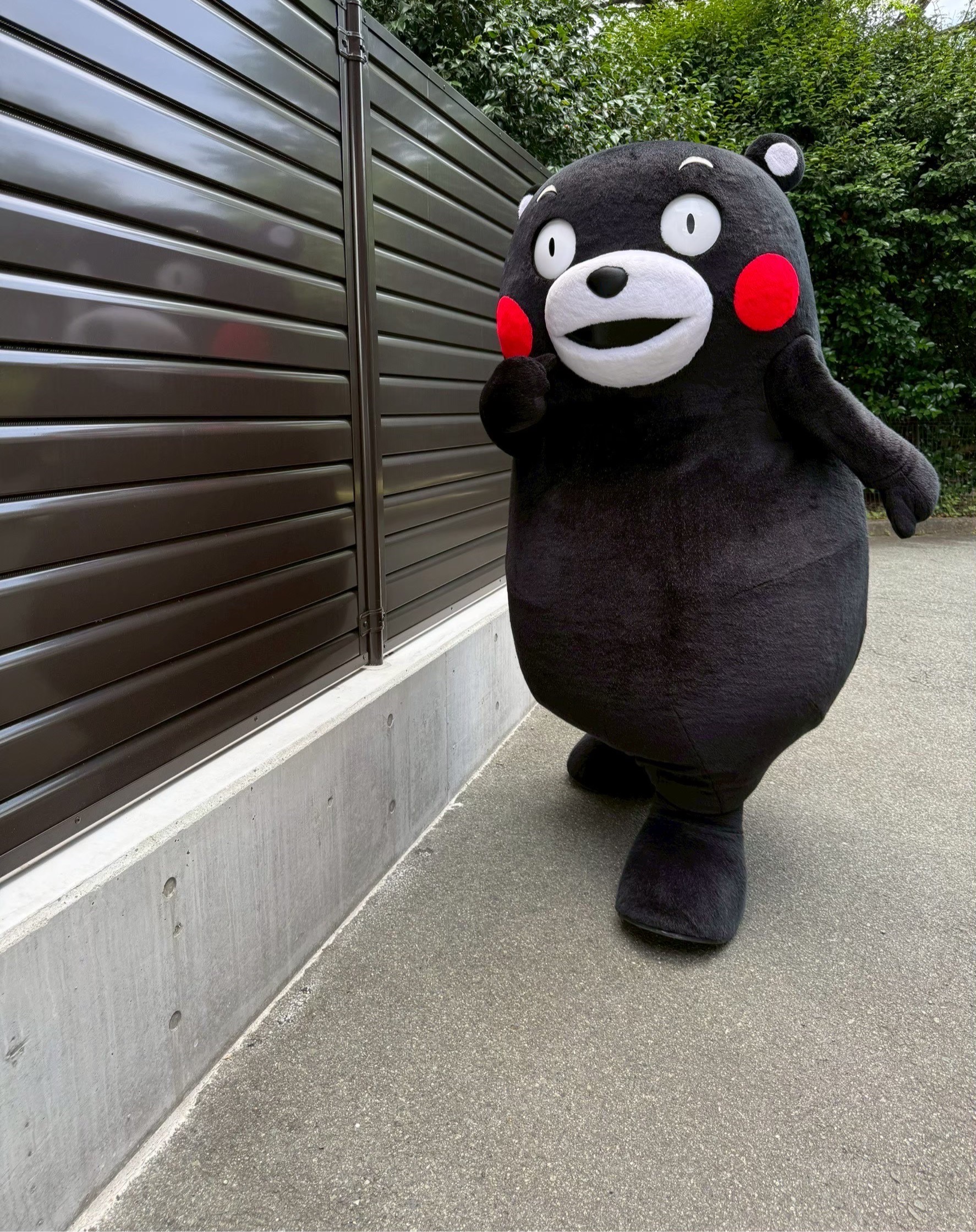くまモン【公式】 (@55_kumamon) / X