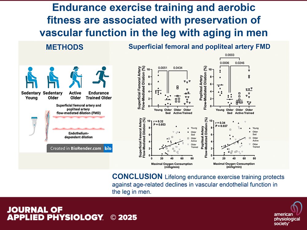 japplphysiol's tweet image. Research Article by E Wang et al. (@CUBoulder @UUtah @wsu) Leg #vascularfunction with advancing age in men: the impact of #physicalactivity and #endurance #exercise #training
ow.ly/aHcR50WzEVp