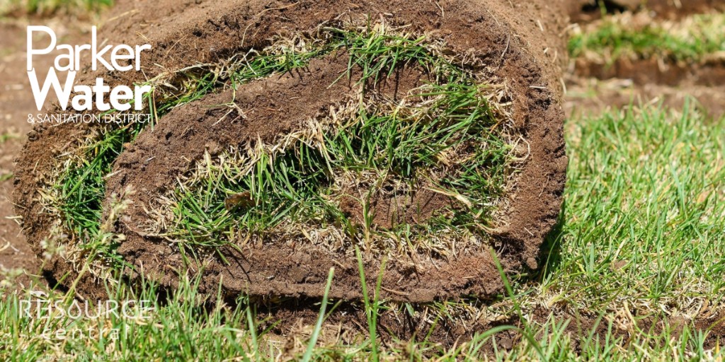 With a Parker Water discount, you can free up more time to enjoy your beautiful garden and spend less time mowing! With Resource Central, we assist our customers in conserving water by eliminating at least 200 square feet of lawn. resourcecentral.org/lawn/apply/