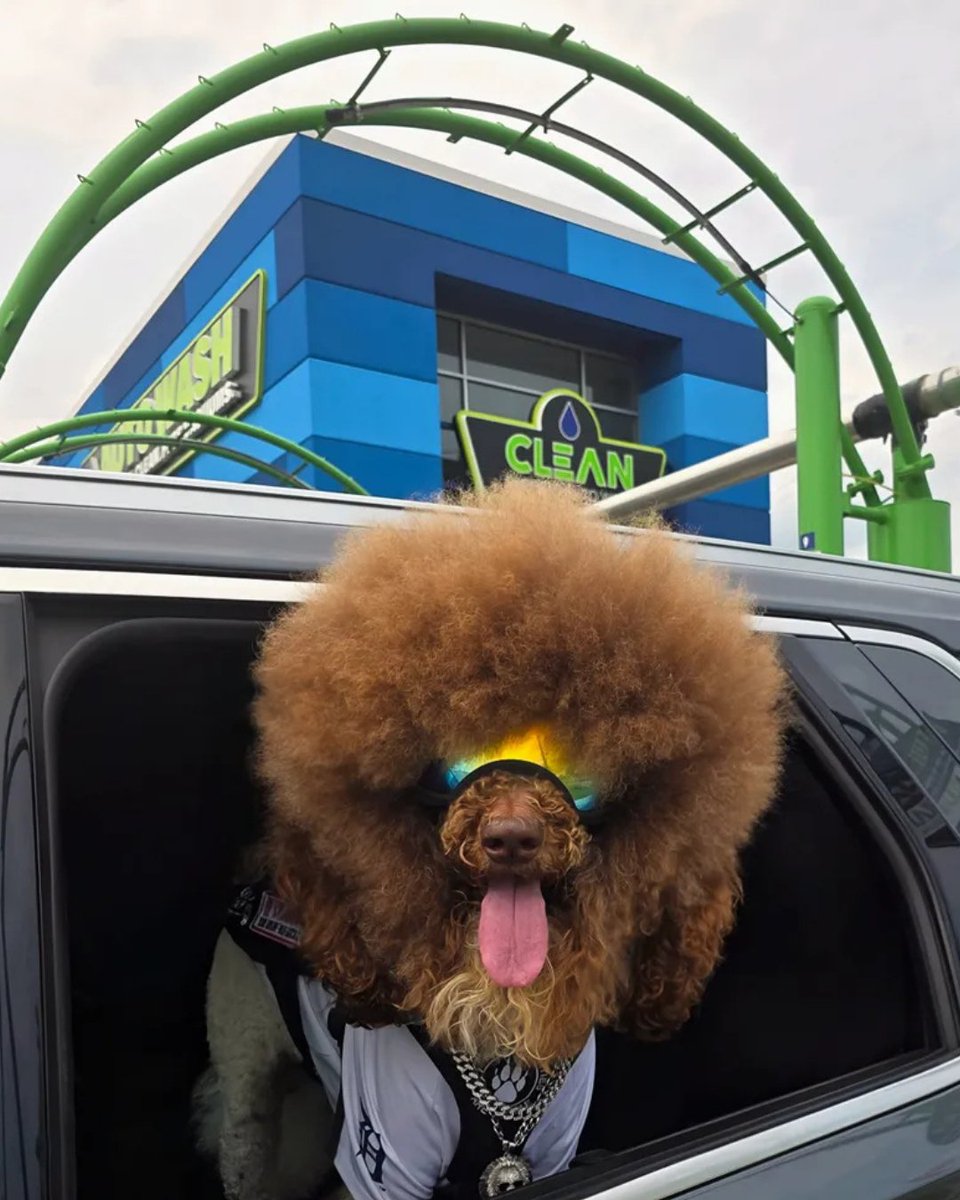 Clean Express Auto Wash tweet media