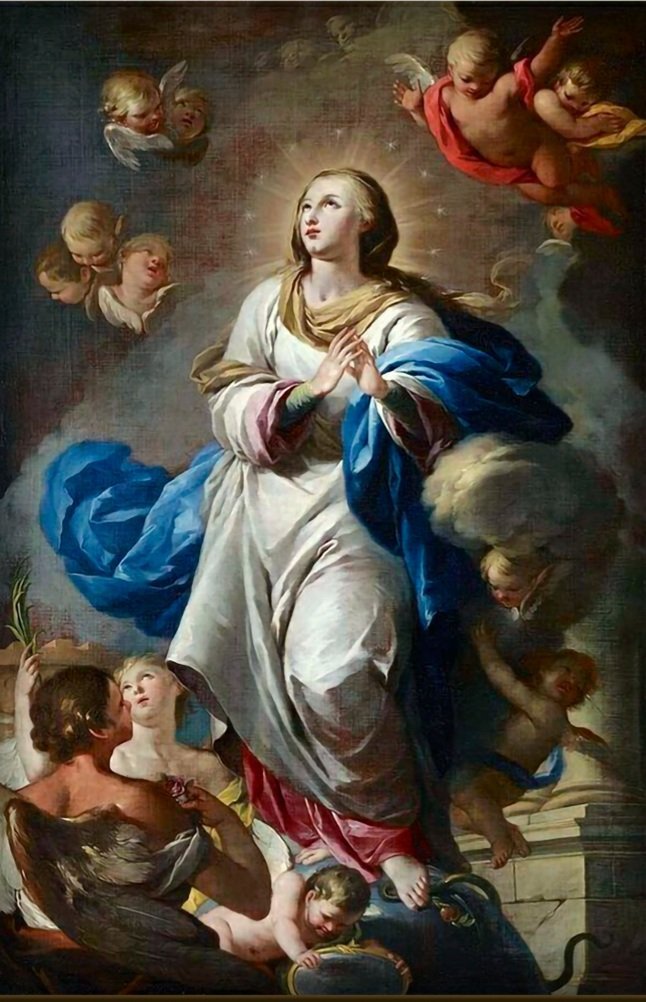 VivaMaria_2022's tweet photo. ¿Cómo iba a conocer
la corrupción del sepulcro
aquella que fue elegida,
desde su Inmaculada Concepción?

No podía Dios consentir
que la restauradora del mundo
la limpia y sin mancha,
quedara su cuerpo marchito.

Oh #Asunción divina de María,
sé tu mi encanto, esperanza y alegría. https://t.co/f3niVvyGZG