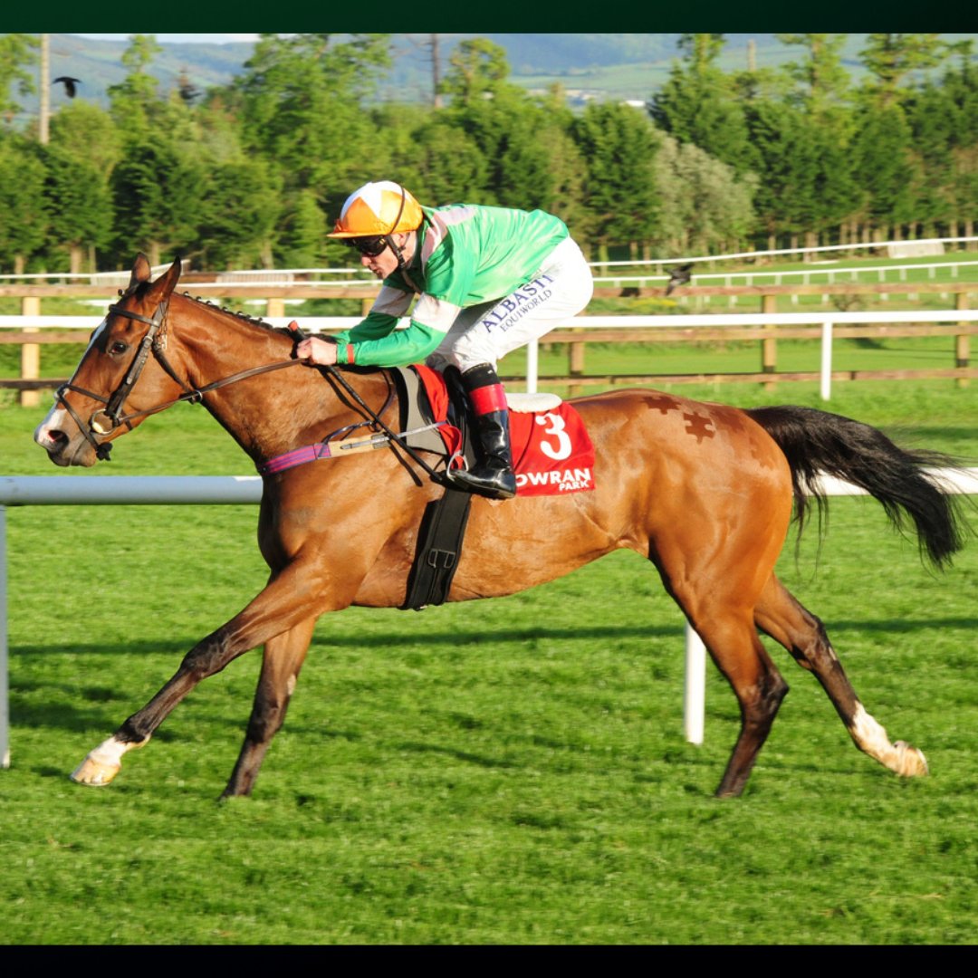 BallylinchStud's tweet image. 𝐀 𝐡𝐞𝐚𝐫𝐭𝐟𝐞𝐥𝐭 𝐭𝐫𝐢𝐛𝐮𝐭𝐞 𝐭𝐨 𝐚 𝐭𝐫𝐮𝐞 𝐜𝐡𝐚𝐦𝐩𝐢𝐨𝐧 💚
 
Ballylinch Stud is proud to sponsor the Pat Smullen Cancer Trials Ireland Charity Race 2025 🏇💚
 
We shared many successes with Pat in the Ballylinch silks, and we have always held him in the highest…