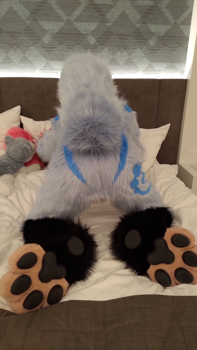 Now where is that darn remote... Sure i left it somewhere here... 🍑

#FurryTails #furry #FursuitFriday #FursuitEveryday