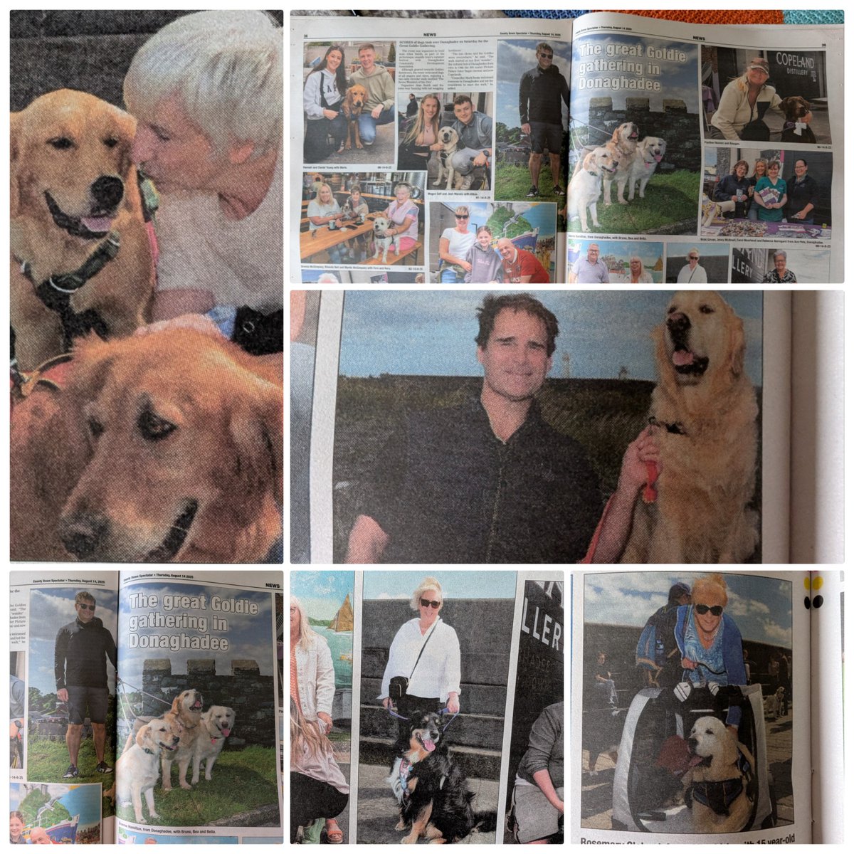 Jonny Campbell tweet media