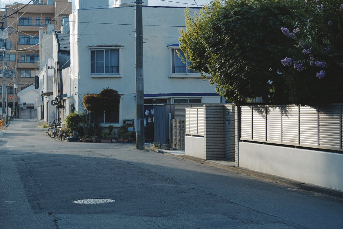 𝚖𝚘𝚗𝚔𝚢𝙳𝙸𝙾 (@monkydio) on Twitter photo 