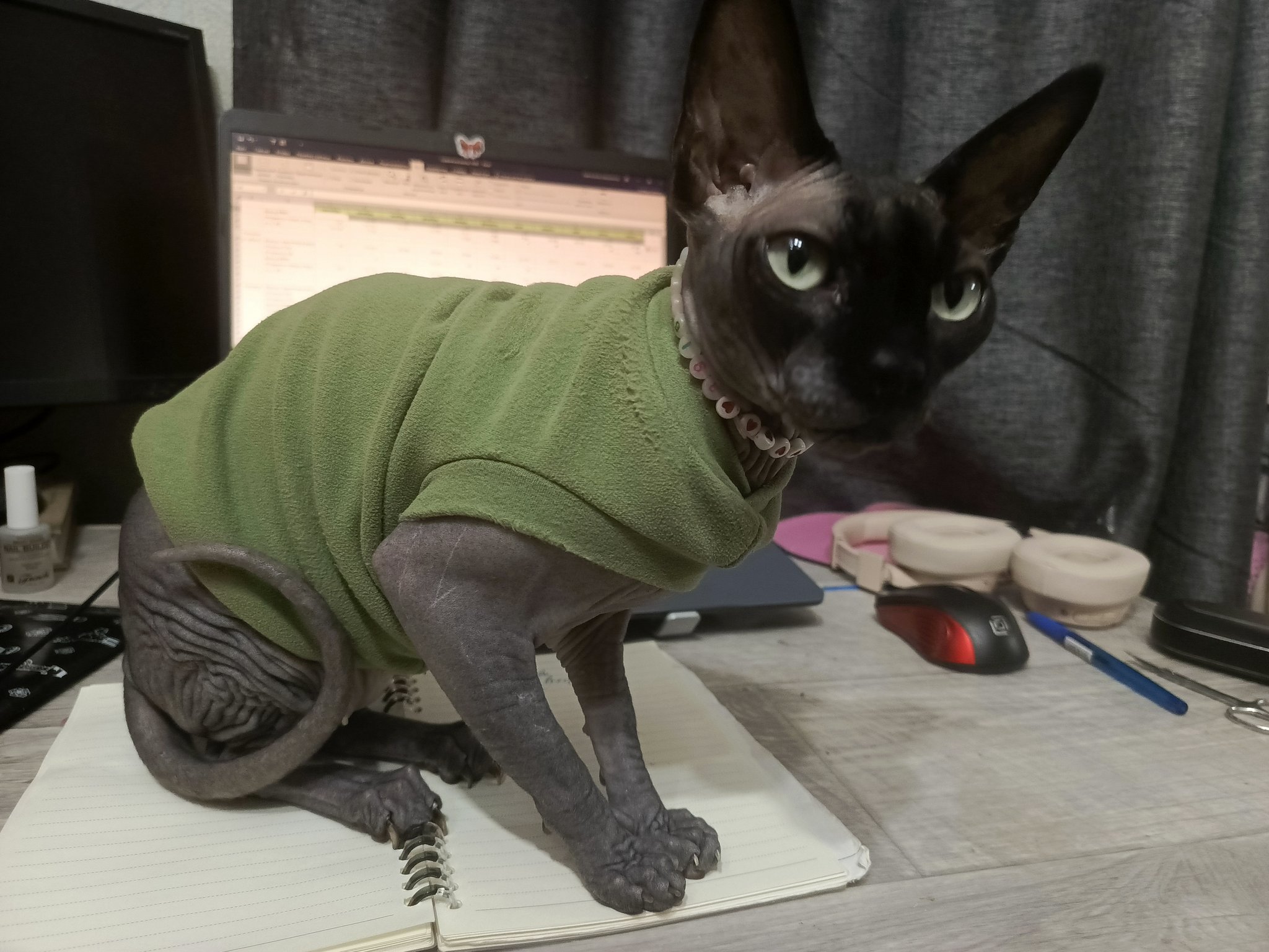 GyUX6tOWEAkSLj8?format=jpg&name=large