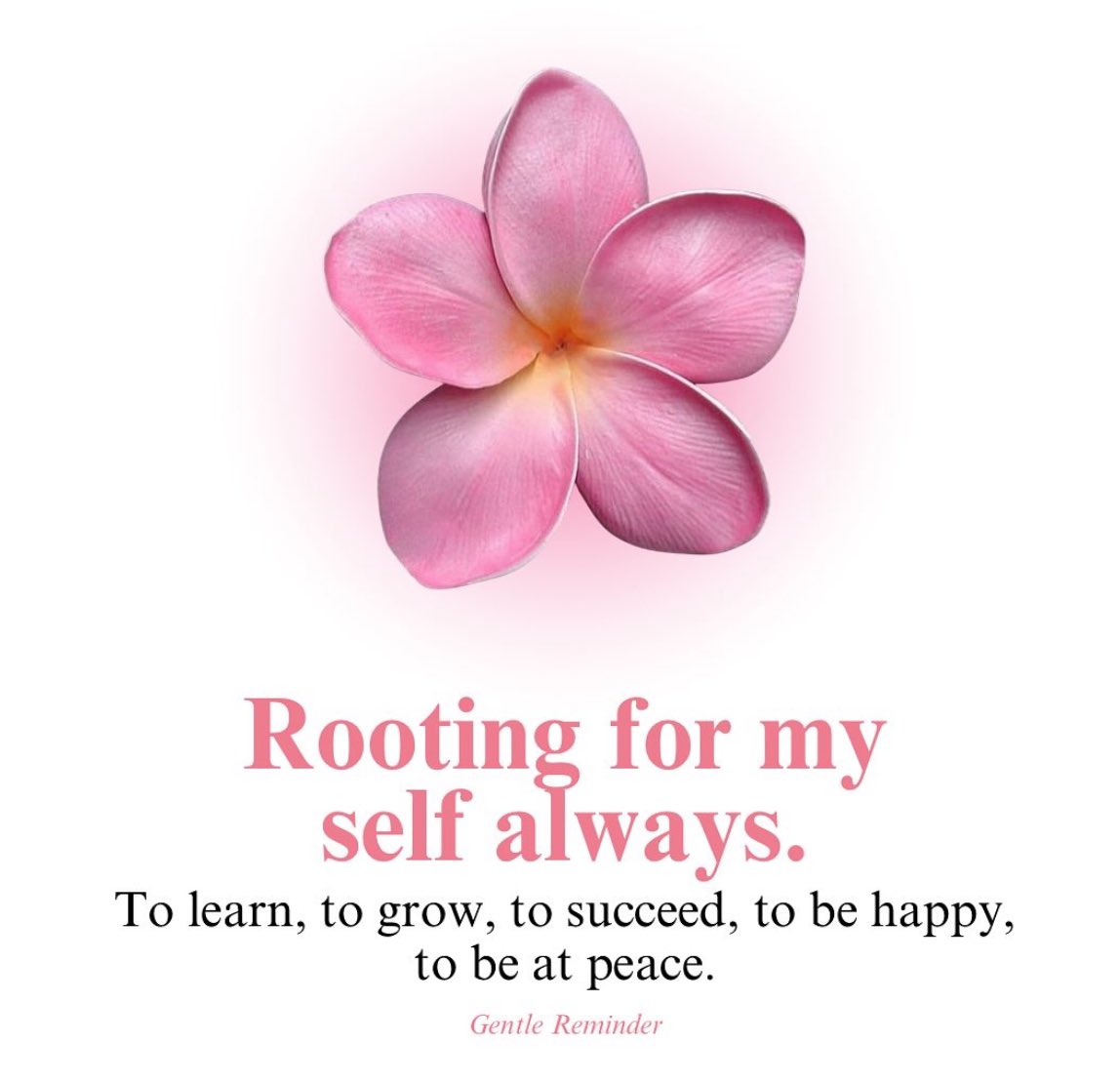 Y𐌵𐌃H𐌀 tweet media