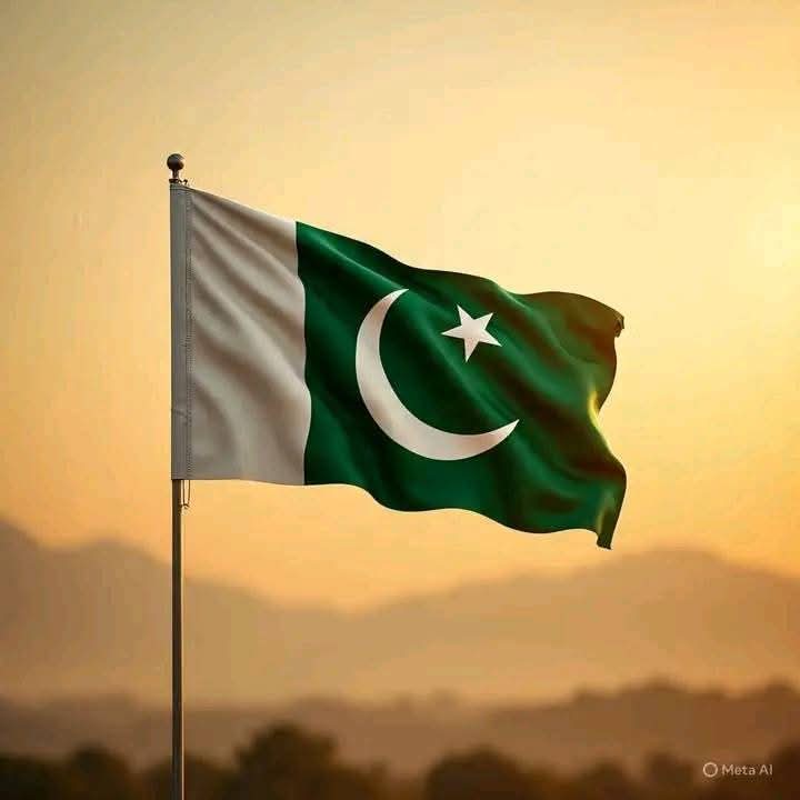 🇵🇰 Happy Independence Day, Pakistan!

#14August