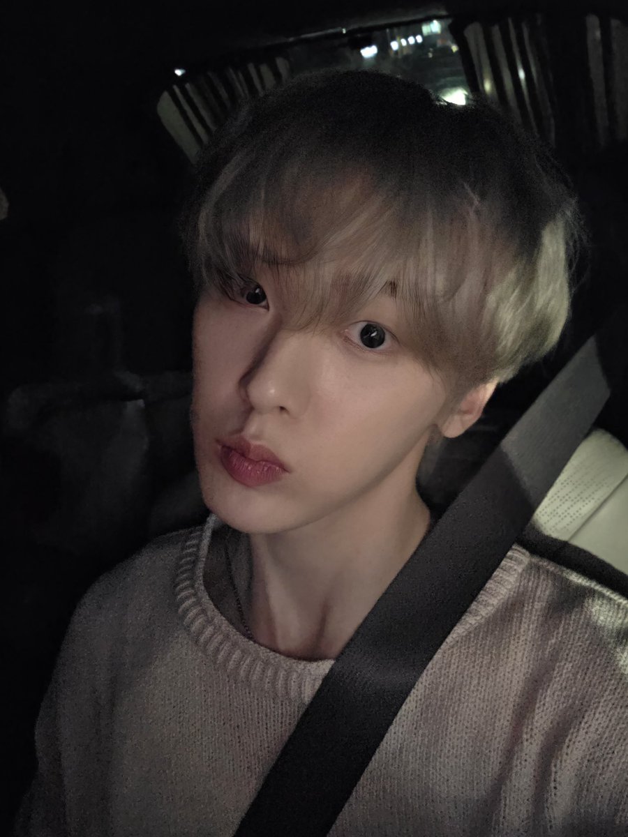 utld98's tweet photo. 복슬복슬 강아지
북북북북
🫳 https://t.co/6gxP41Zmav