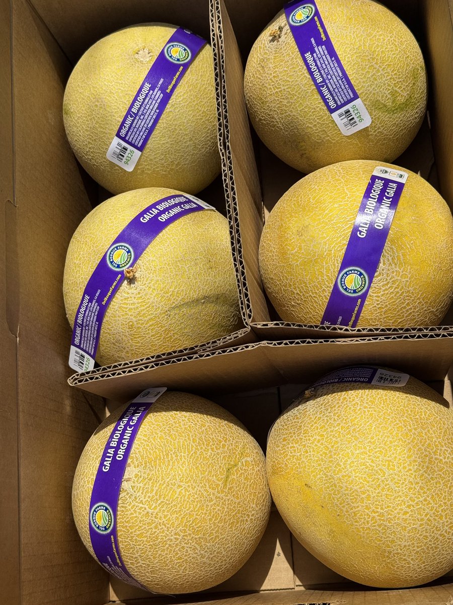 If you shop at <a href="/Publix/">Publix</a> Supermarkets, these beauties are coming your way! Organically grown on our family farm in sunny California! These are Galia melons, and they are sweet and delicious! Hope you try one!