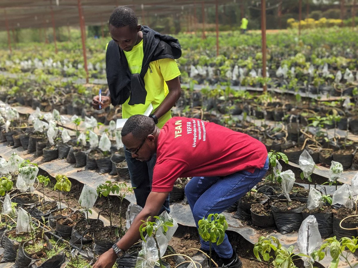 Participants toured the facility with a RAB agronomist and explored Israel’s modern farming techniques, greenhouse and nursery management, advanced irrigation, and grafting. They learned techniques like grafting tomatoes onto wild rootstocks, precision irrigation, and