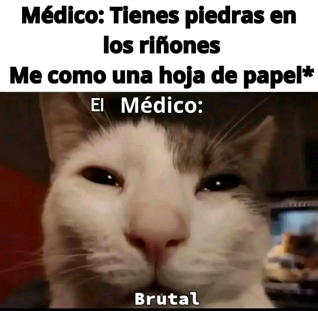 ¡Dios que astuto! 😨🐱🐾