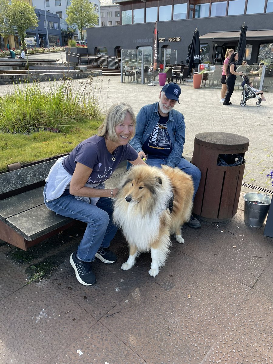 sheltieleslie's tweet photo. I kissed a Norwegian collie and I liked it! https://t.co/sb2GonBZ9s