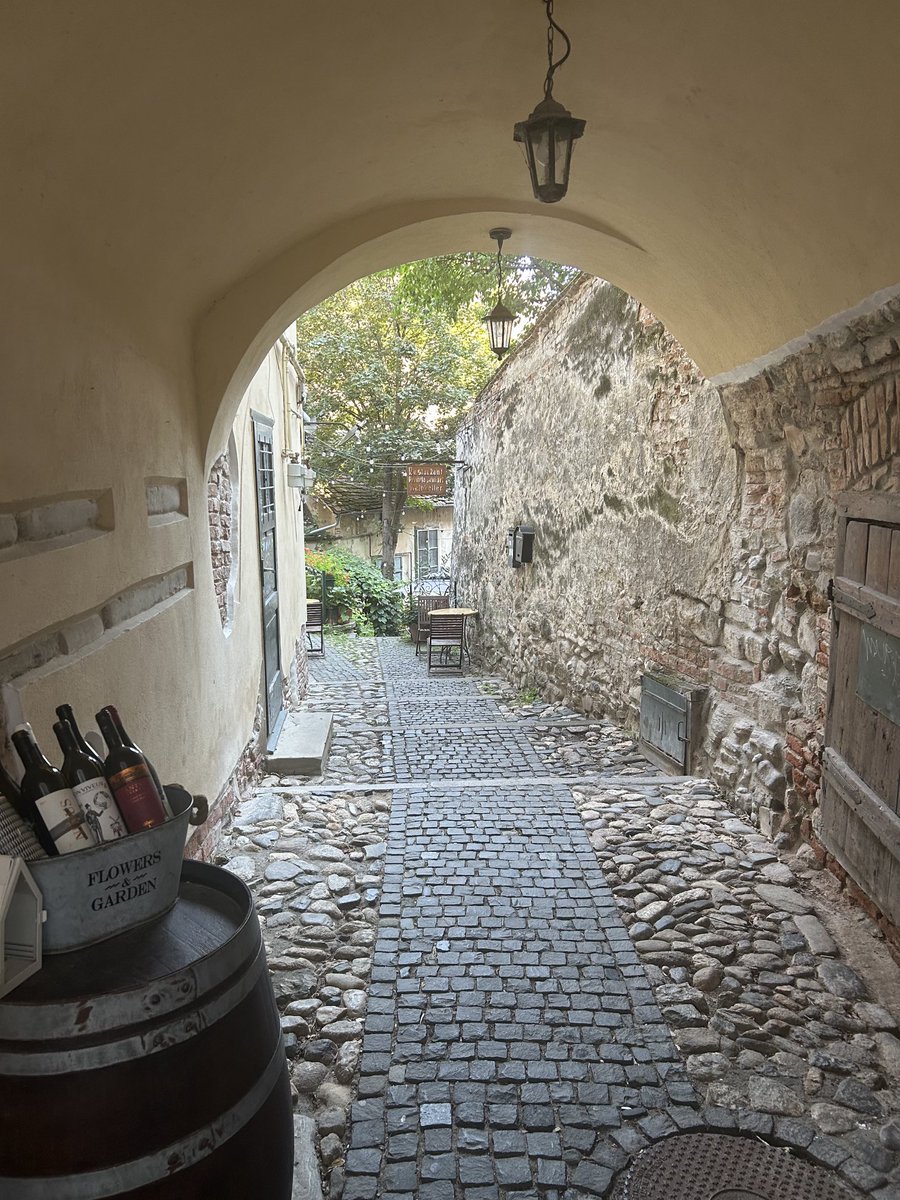 Dom Tulett tweet media