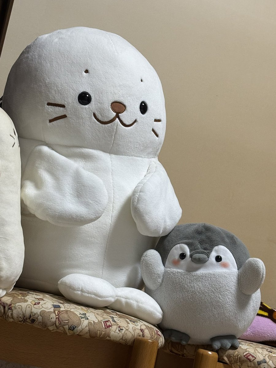 きぬんぬ ✌︎( 'ω' ✌︎ ) (@sakufool04) / Posts / X