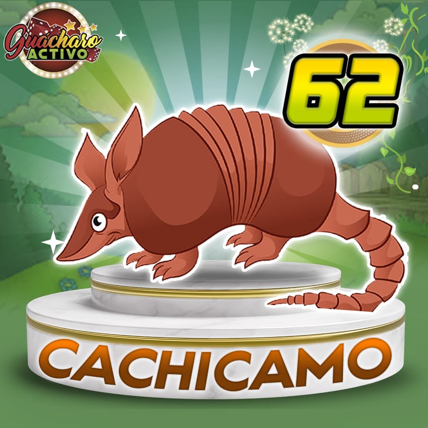 ¡El animalito millonario ya está aquí! 🐾✨

📅 Hoy es: Jueves, 14 Ago 2025
⏰ Hora del sorteo: 01:00 PM
🥇 El animalito ganador: 62 Cachicamo

💪 ¿Le pegaste al resultado o vas por la revancha? ¡Escribe tu reacción aquí! 🔢