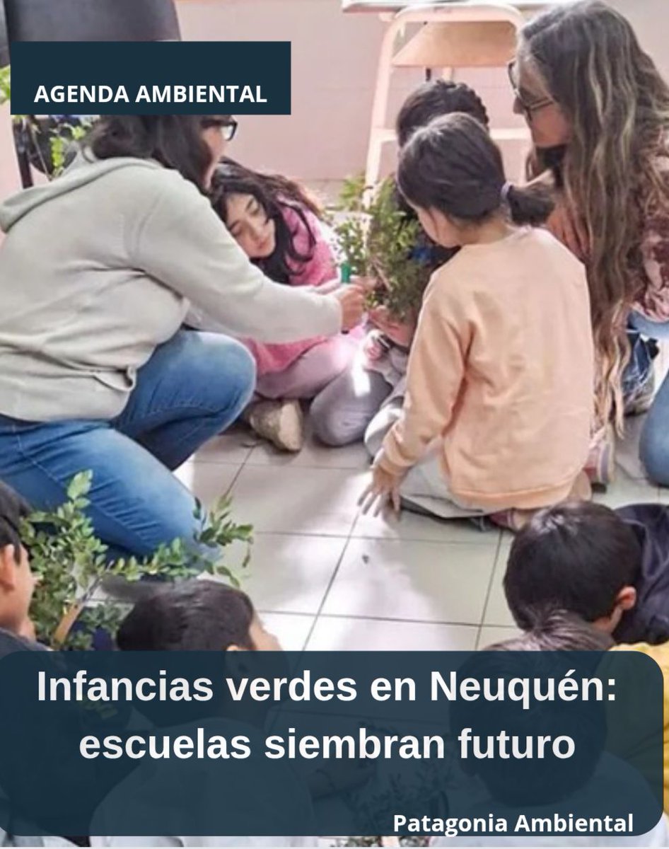 PatAmb's tweet image. Huertas escolares, talleres de reciclaje y proyectos participativos en las aulas de Neuquén forman **infancias conscientes y comprometidas con el planeta*🌎
patagoniambiental.com.ar/info/revolucio…
#EducaciónAmbiental #InfanciasSustentables #NeuquénVerde #HuertasEscolares