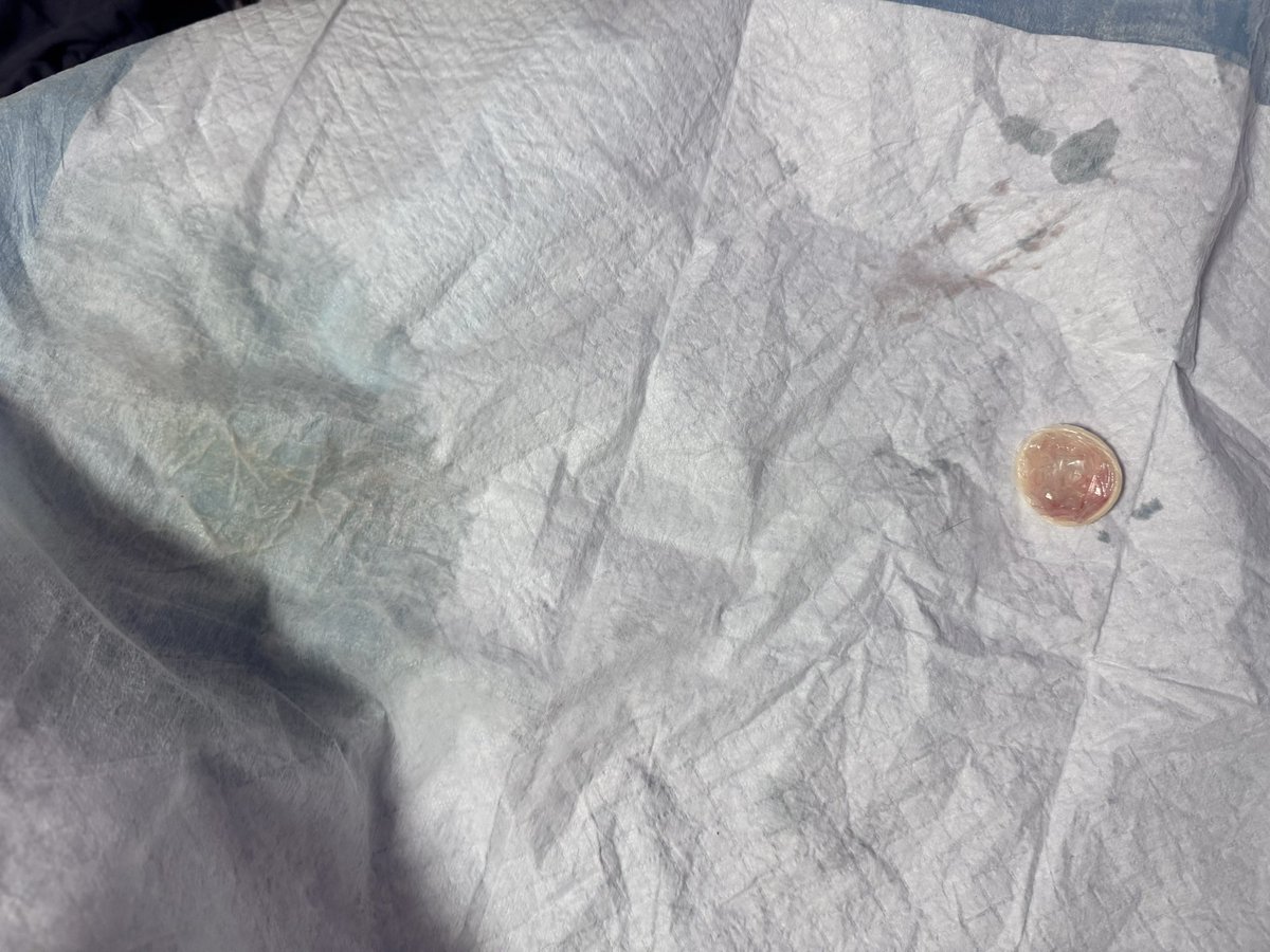 福利姬老板娘分享的黄推图片2 - 网红私拍内容