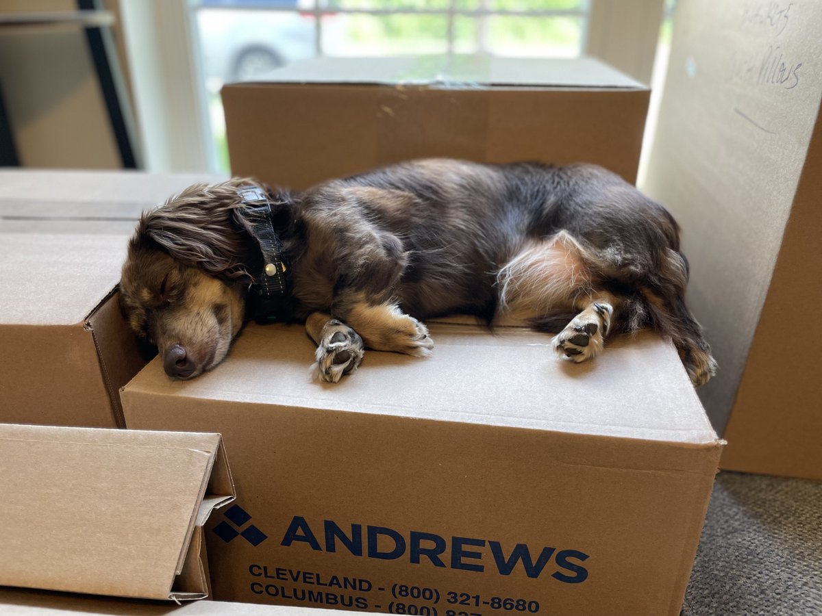 With commitment, anything can be a bed