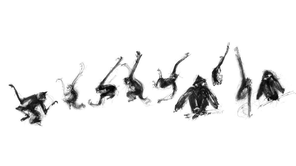 timothypond's tweet image. Observing Jimmy, the White-cheeked Gibbon at ZSL, inspired this on-the-spot gesture drawing of him swinging. I had to be quick! #NatureStudy #GibbonArt #WildlifeSketch @zsllondonzoo