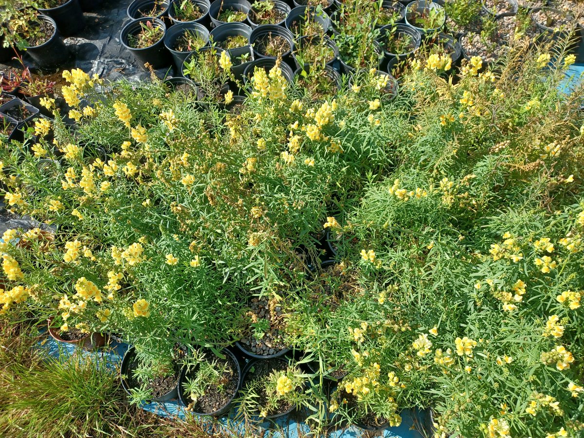 Eadha Enterprises tweet media