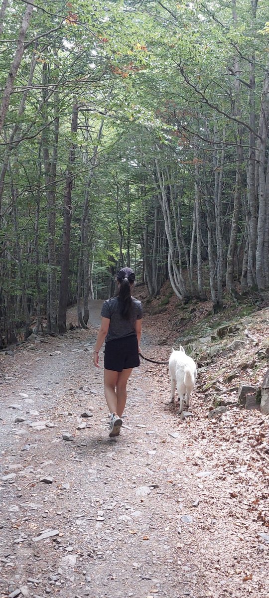 Ricardo Pedrol (@ricardopedrol) on Twitter photo 