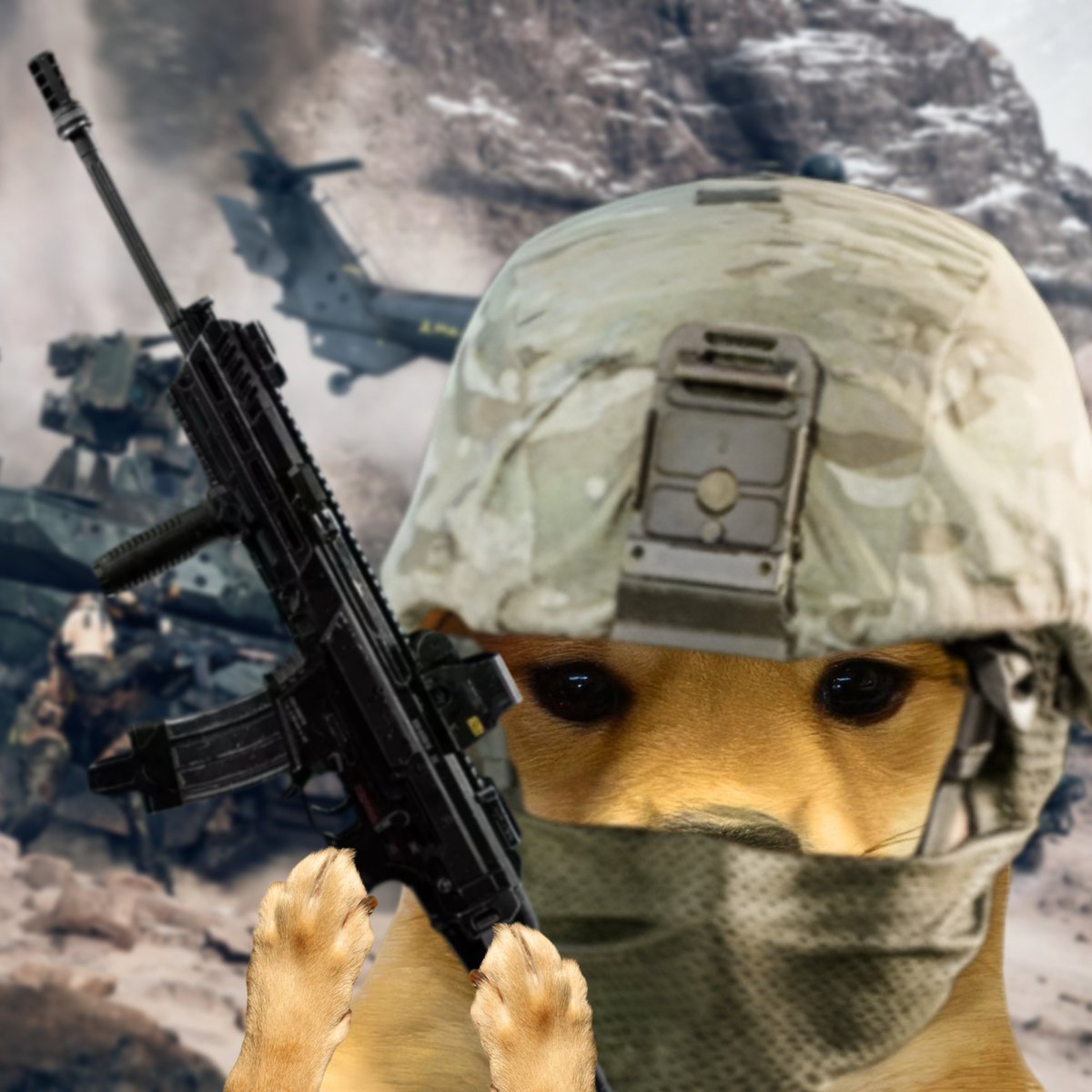 dogwifcoin tweet media