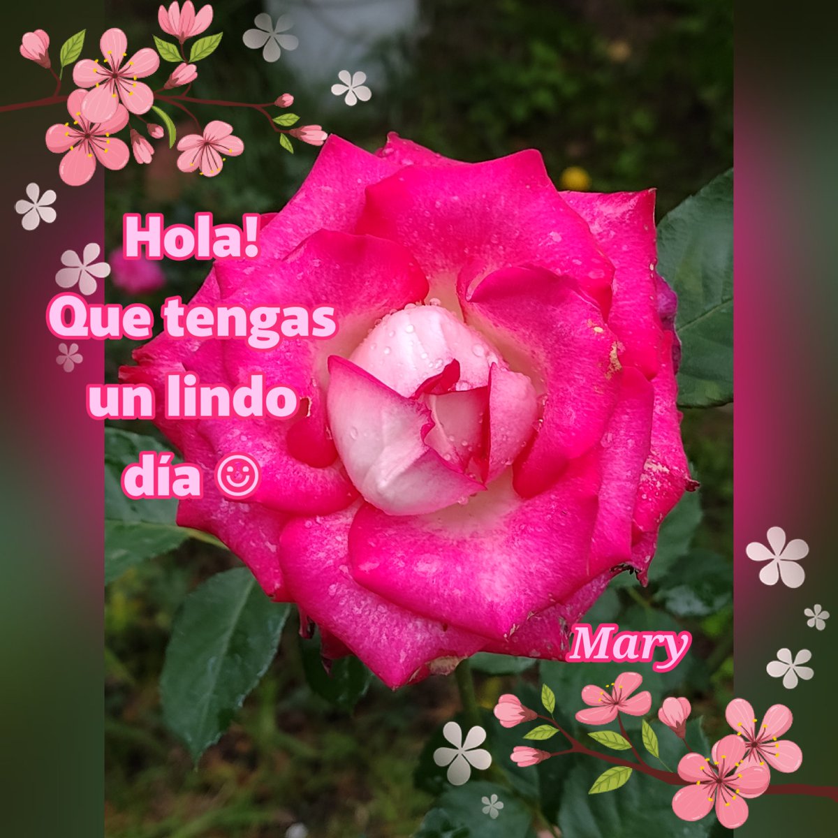 💜Mary💜 tweet media