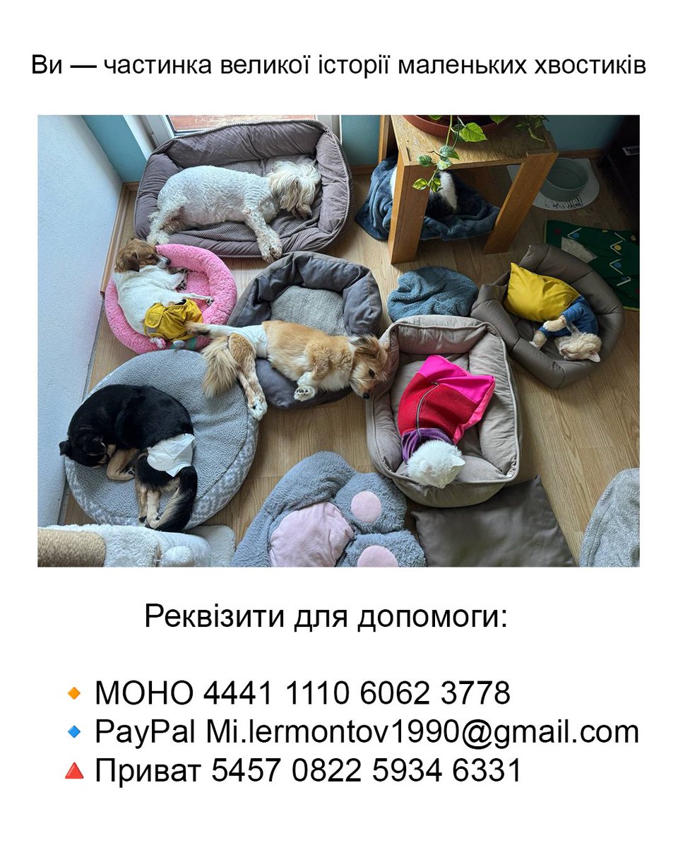 trusiki_bobra's tweet photo. Наша руcoфобія ніколи не буде достатньою‼️ https://t.co/bkoJd5DwEs