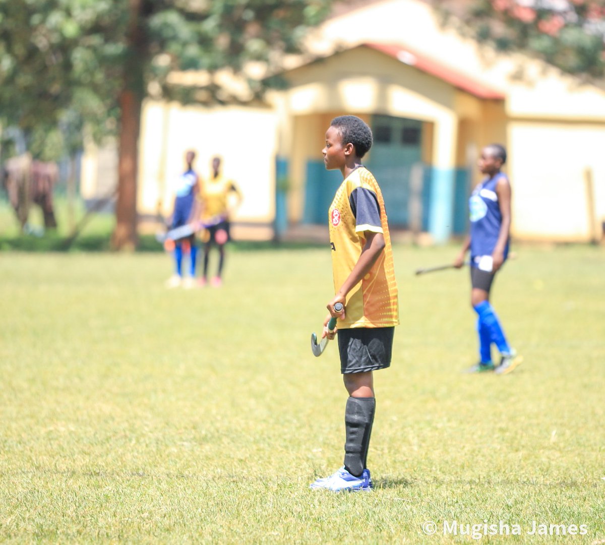 Sideline News tweet media