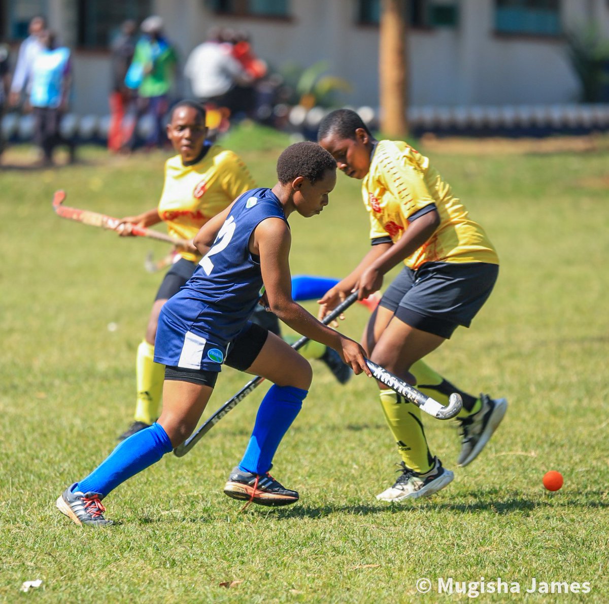 Sideline News tweet media