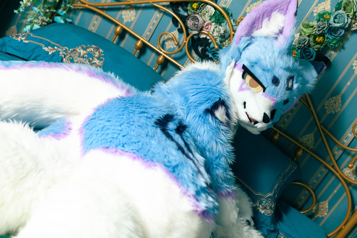 #FursuitFriday 
갑자기 찾아오다니 무슨일이야..?🫣
