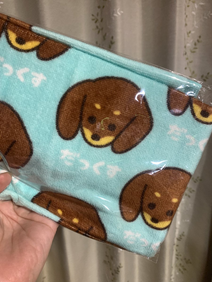 sibeflower's tweet photo. 夫ようやく夏休み🌻

てなわけで
ど真ん中お盆に関わらず
軽く北軽井沢まで散歩
あんなに混んでる浅間牧場初めて見た

鬼押し出しハイウェイ���中のドライブインがグランピングキャンプ場に変わってて大いに驚き👀
お土産にダックスタオル買うたよ

#ずいぶん変わったな 
#北軽井沢 
#浦島太郎 https://t.co/8mXWIoWA0t