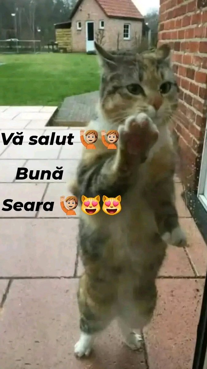 Bună seara !!!
