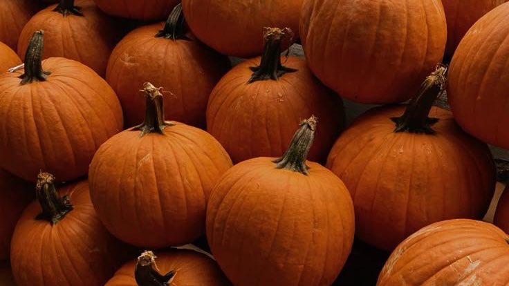 loloisweirdo's tweet photo. Ferragosto? Ma quale Ferragosto che io sento già l’odore di autunno https://t.co/JawQ3u25E6