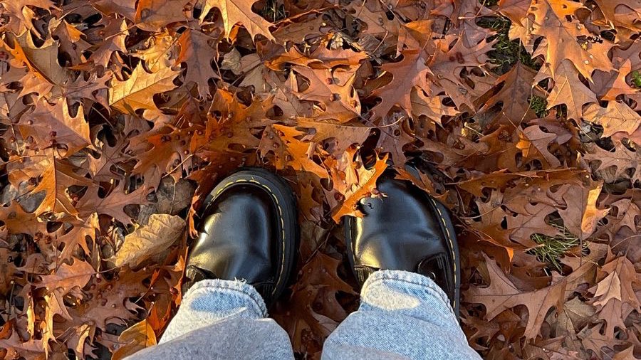 loloisweirdo's tweet photo. Ferragosto? Ma quale Ferragosto che io sento già l’odore di autunno https://t.co/JawQ3u25E6