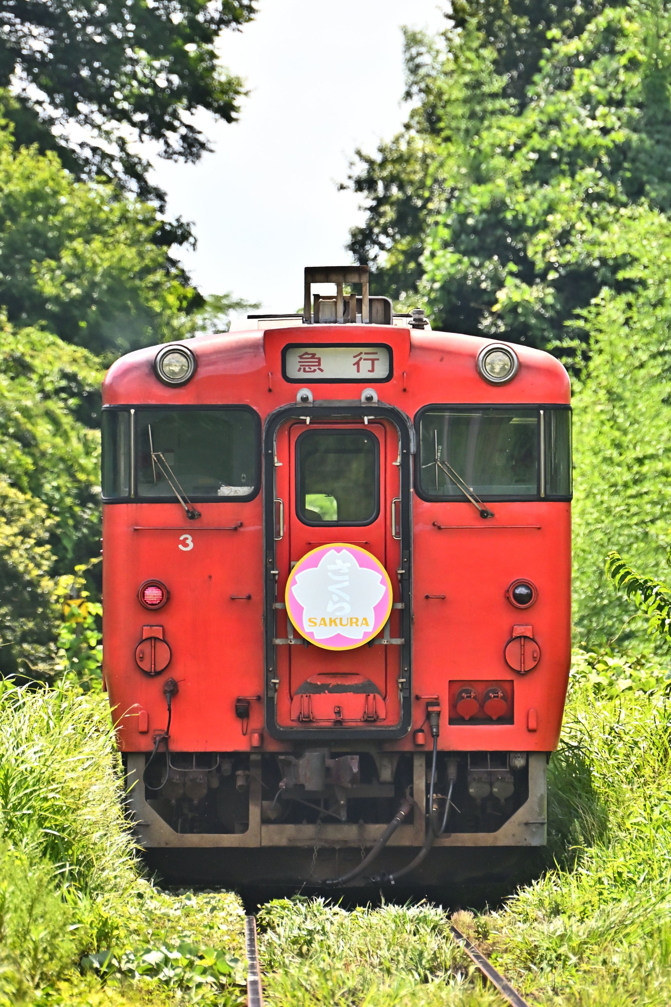 Ｃ58，こたろう C57 186【東京都小金井市小金井公園SL展示場】 : さとぴーの人生