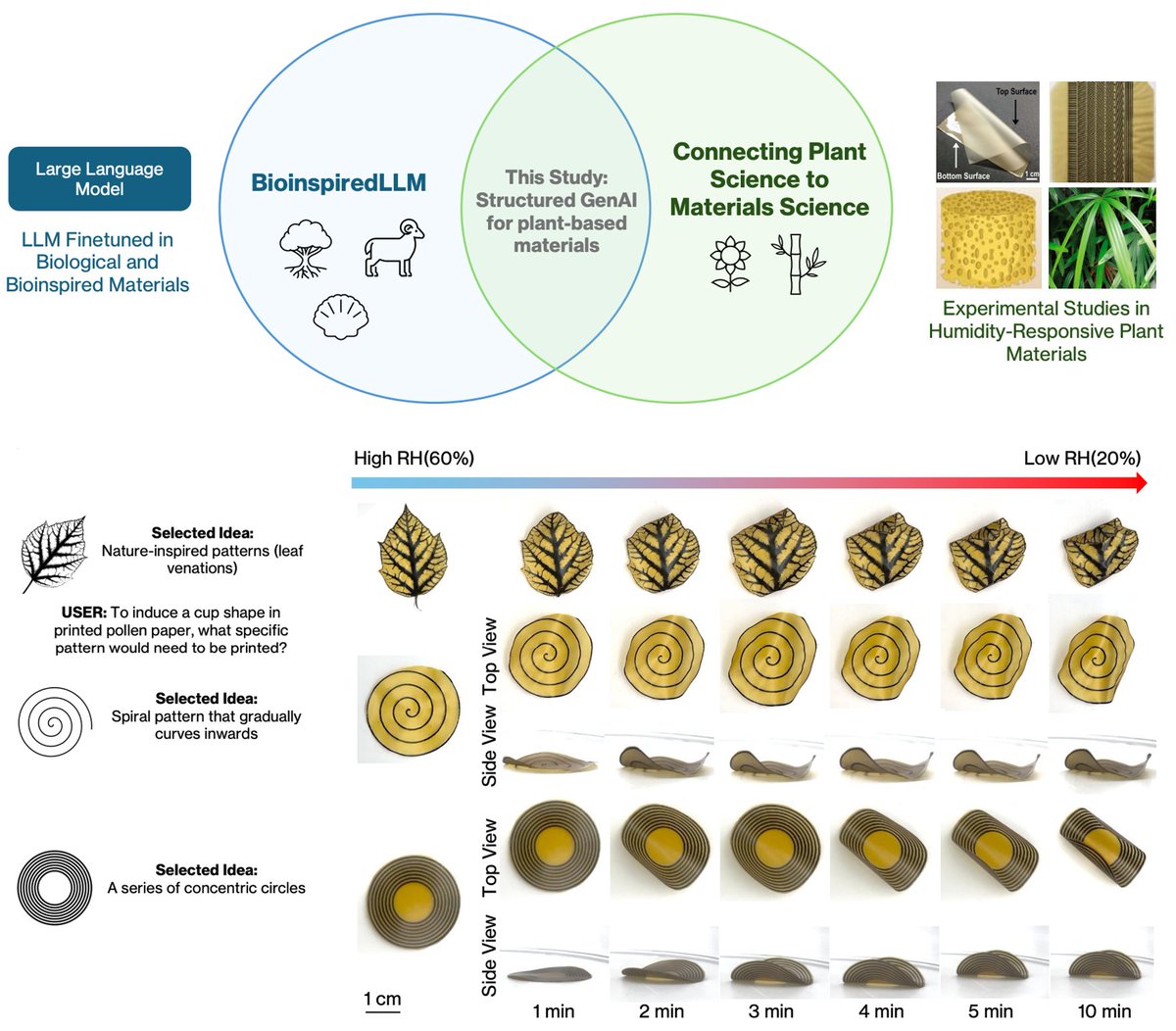 Markus J. Buehler tweet media