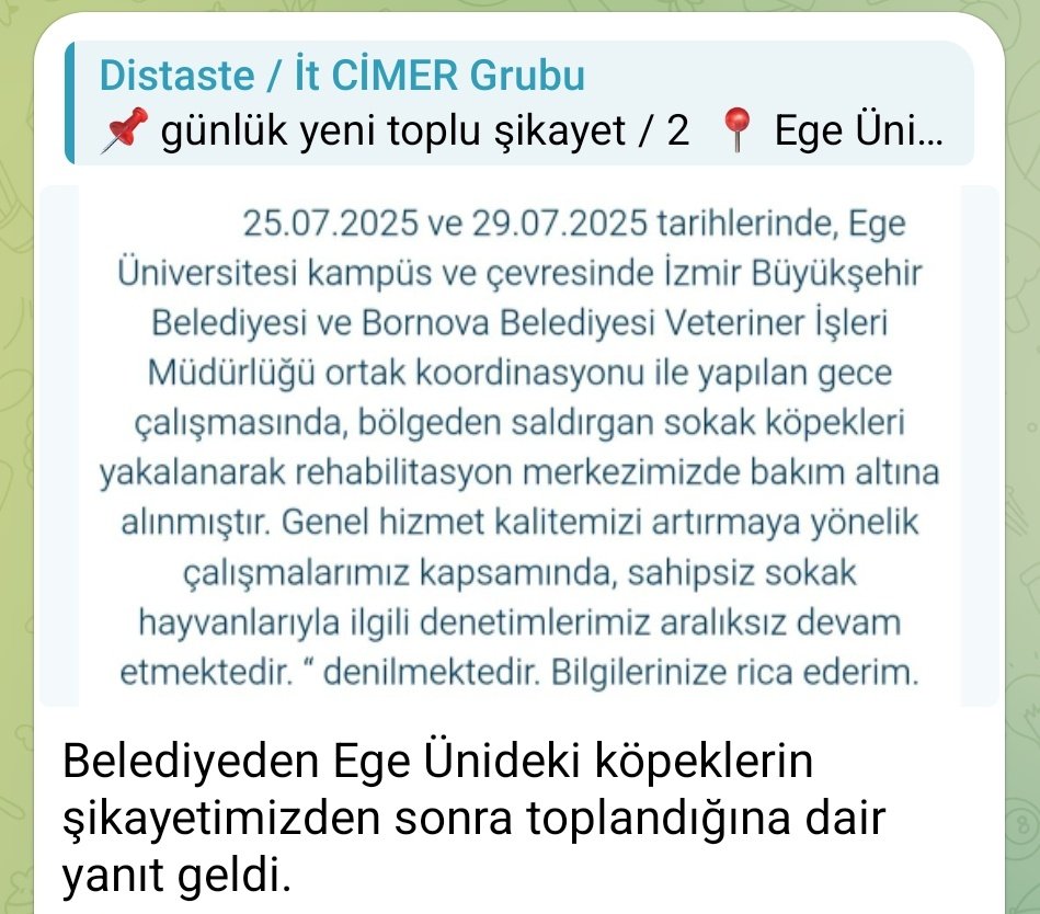 🚨 SON DAKİKA:

Distaste Cimer grubundan yapılan toplu şikayetin ardından Bornova Belediyesi, Ege Üniversitesi'ndeki köpekleri topladığını açıkladı.