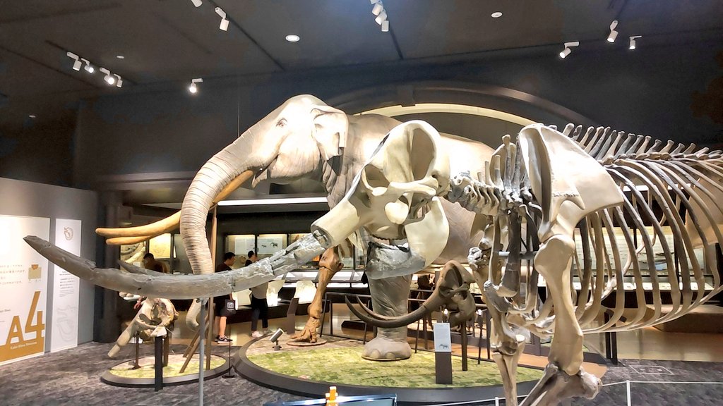 aworksnet's tweet image. 今日は滋賀県立琵琶湖博物館へ行きました。
お魚さんや動物さん、虫さんなどがたくさんいて楽しかったです♪

#滋賀県立琵琶湖博物館 #琵琶湖博物館 #琵琶湖 #滋賀県 #滋賀県立 #滋賀