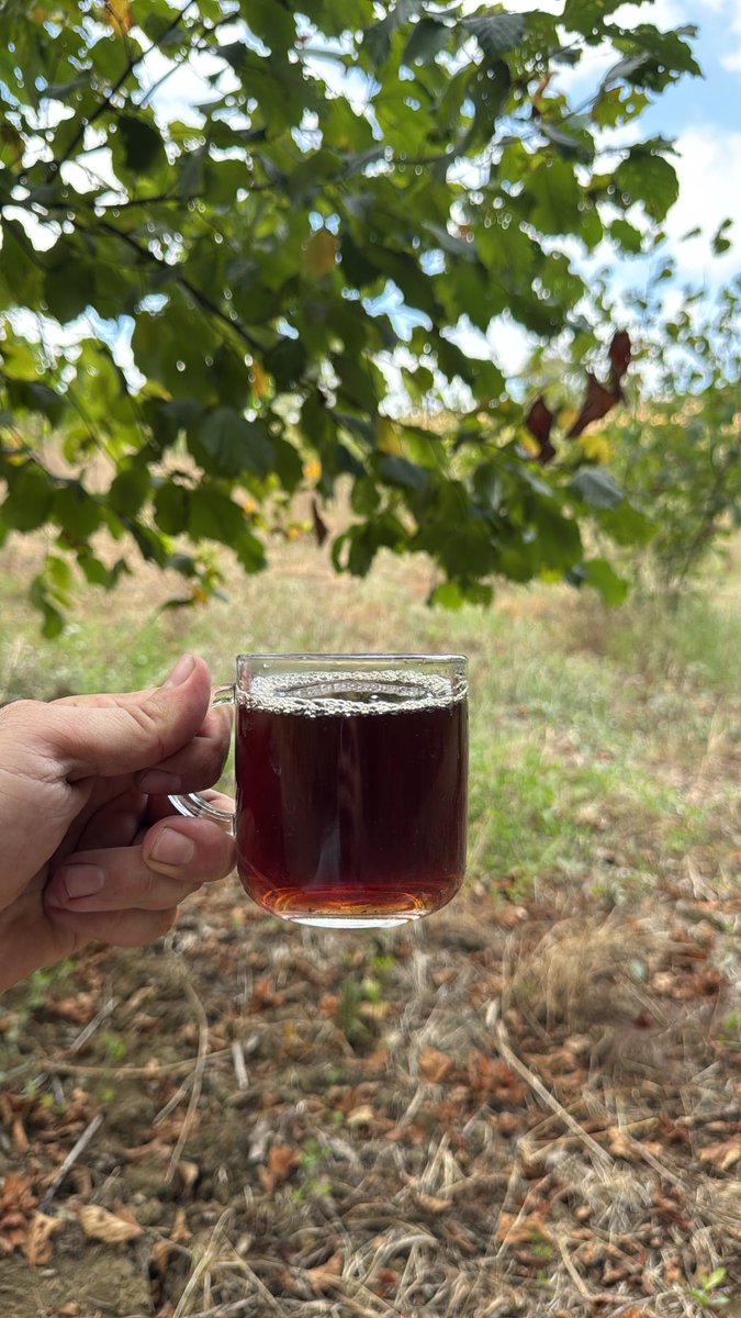 daisy410216's tweet photo. Fındık da çay molası.. https://t.co/DZtF66JMwc