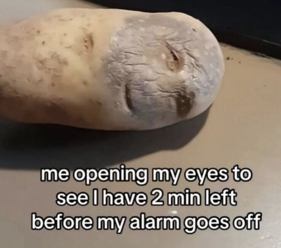 dinosaurs1969's tweet image. 