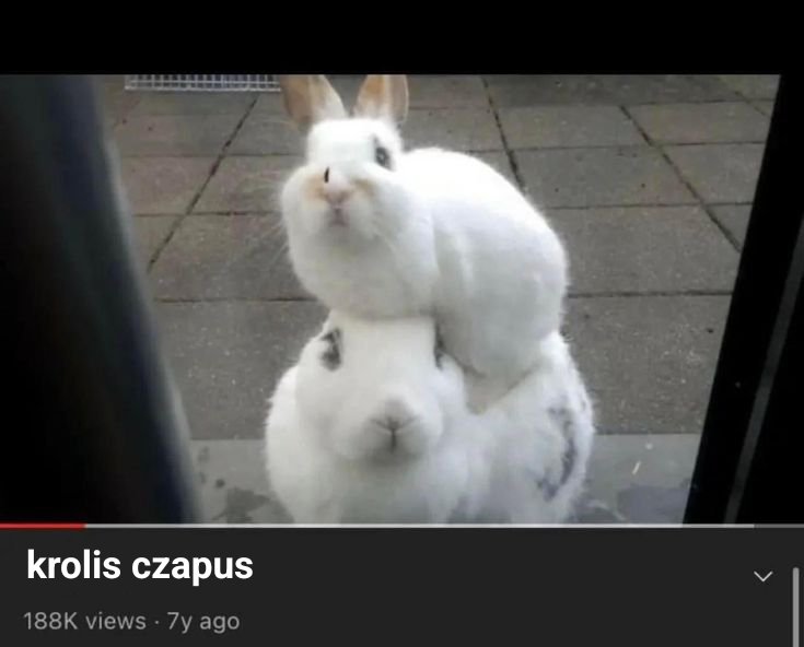 browaritha's tweet photo. hej szlamku moge podejsc i zrobic ci tak https://t.co/PGeEXebVAX