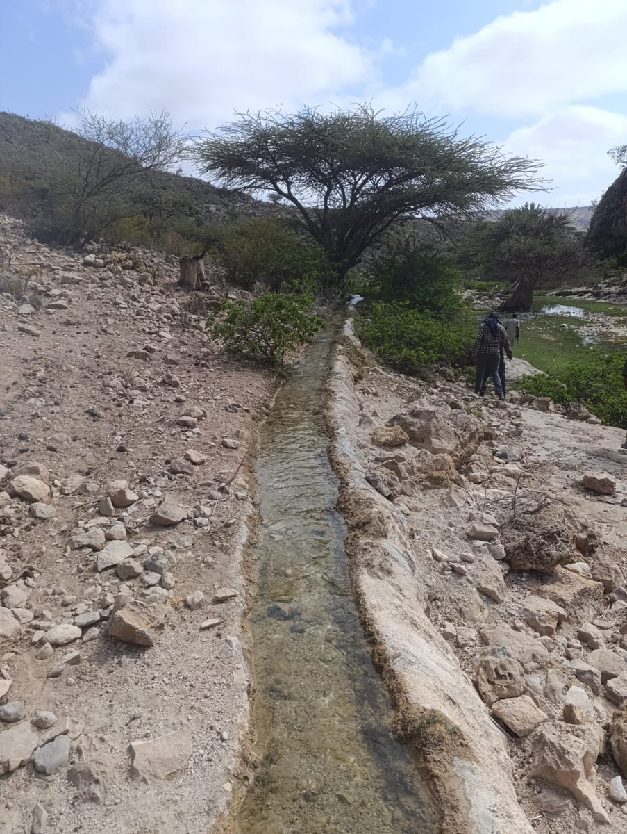 Mathias Kjaer tweet media