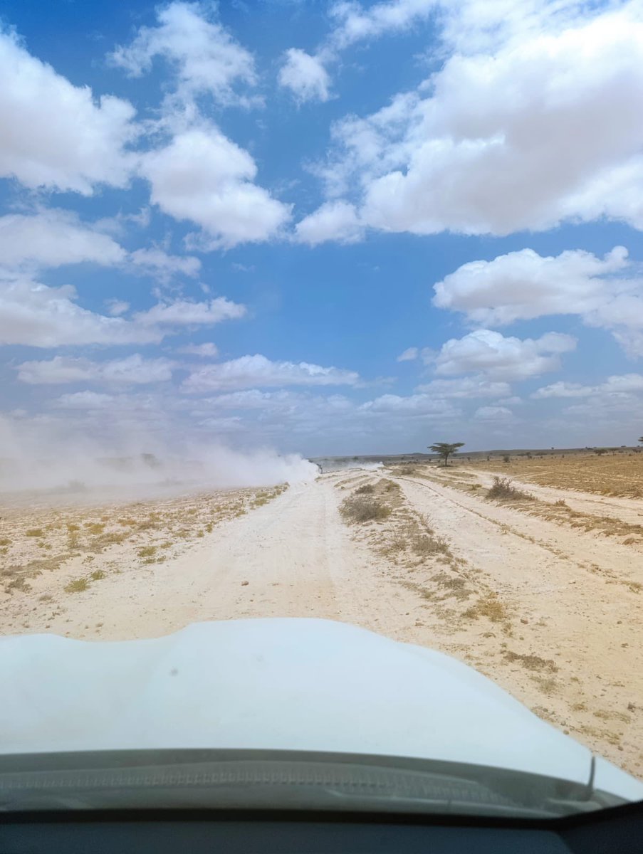 Mathias Kjaer tweet media