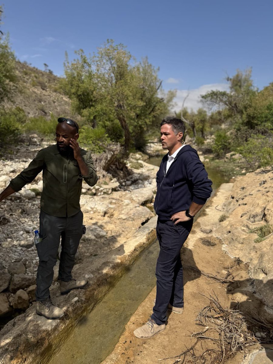 Mathias Kjaer tweet media